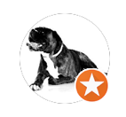 Capture d’écran 2024-06-04 à 09.52.39